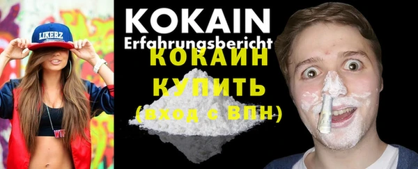 гидропоника Карталы