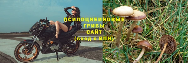 mdpv Карпинск