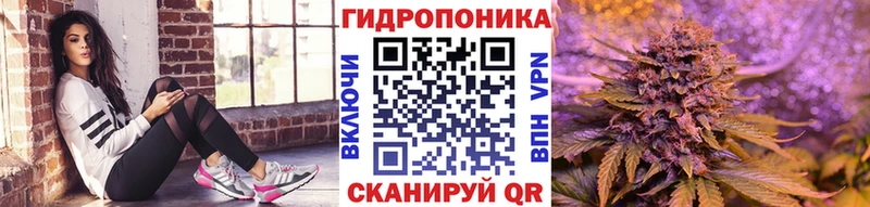 Бошки марихуана марихуана Верея